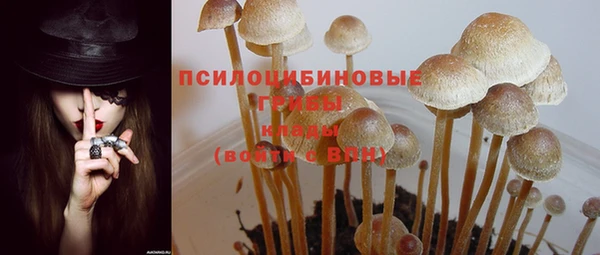 прущий лед Арсеньев