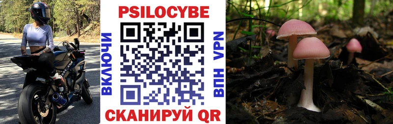 blacksprut зеркало  цена наркотик  Баймак  Псилоцибиновые грибы Magic Shrooms 